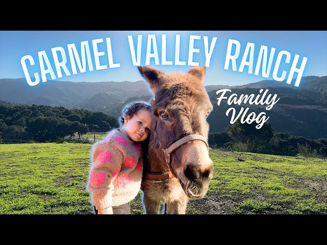 Chasing Butterflies and Donkeys at Carmel Valley Ranch! Chill Family Getaway