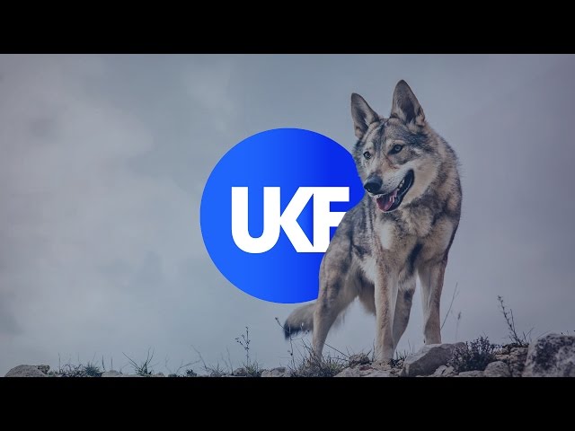 Torqux - The Wolf