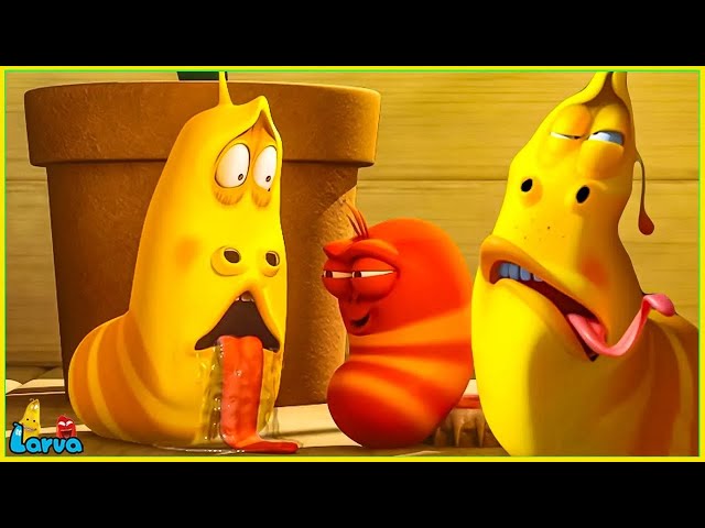 Mocking Humor - Funny Animated Cartoon - Special Video by LARVA. Larva Enjoy