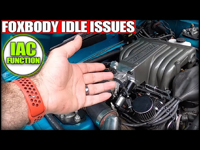 STOP BLAMING YOUR IAC VALVE! There could be other factors at play here (FOXBODY)