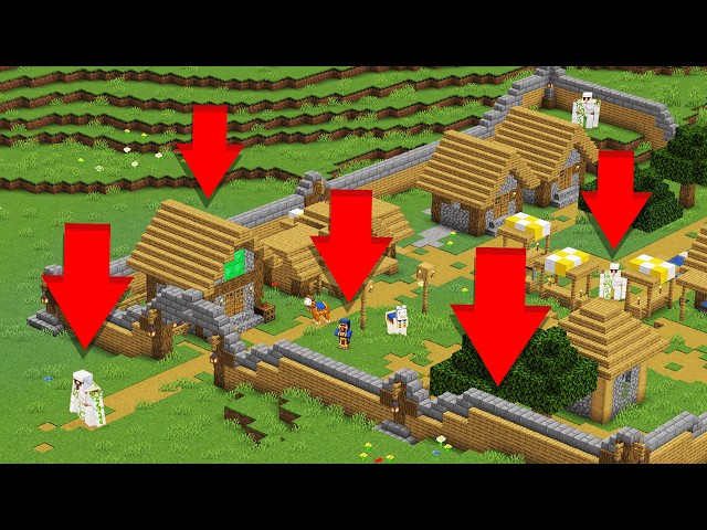 I Made Minecraft Villages BETTER