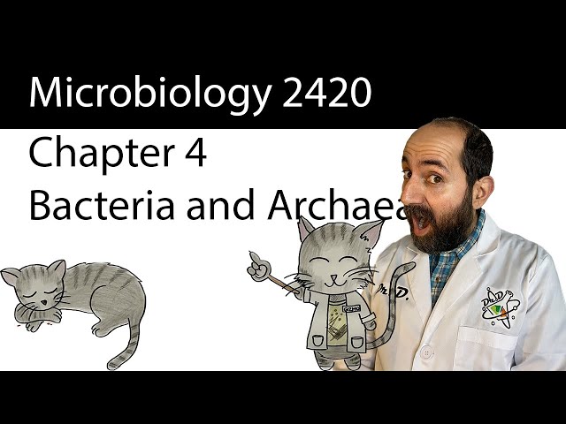 Chapter 4 – Bacteria and Archaea