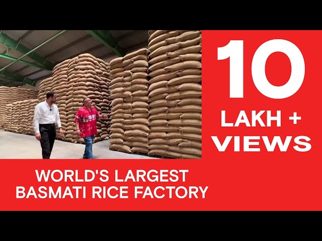 World's Largest Basmati Rice Factory | #RoadTrippinwithRocky | D03V02