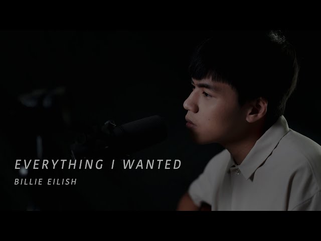 Billie eilish -Everything I wanted cover by 林鴻宇｜晚安計劃Goodnight song