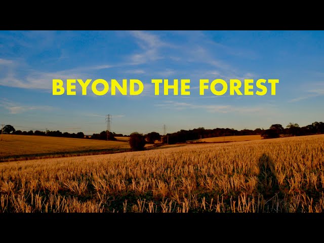 Beyond Epping Forest - Loughton Camp to Epping Green (4K)