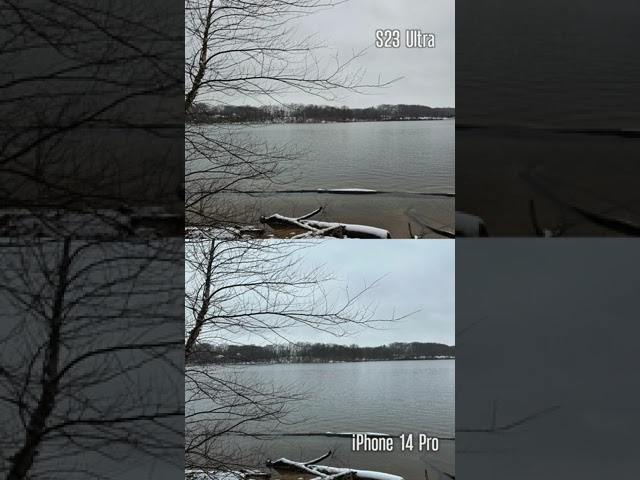 iPhone 14 Pro vs S23 Ultra: Closer than You Think - Camera Test
