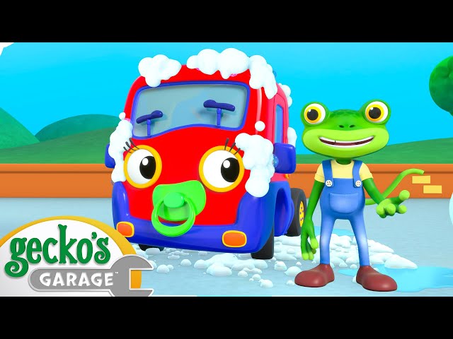 Car Wash Fun - Baby Truck's Splash | Gecko's Garage | Cartoons For Kids | Toddler Fun Learning