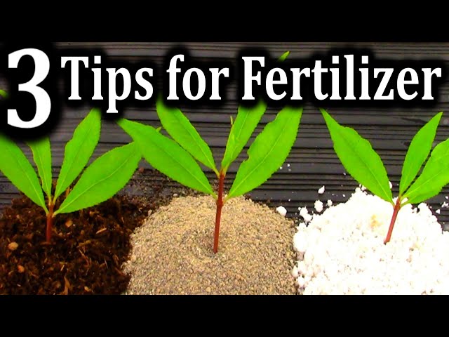 The BEST Fertilizer for Different Gardening Situations | How I Fertilize All of My Plants