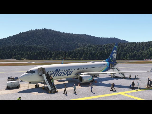 Beautiful Alaska Flight | Kodiak to Anchorage | PMDG Boeing 737-800 | MSFS