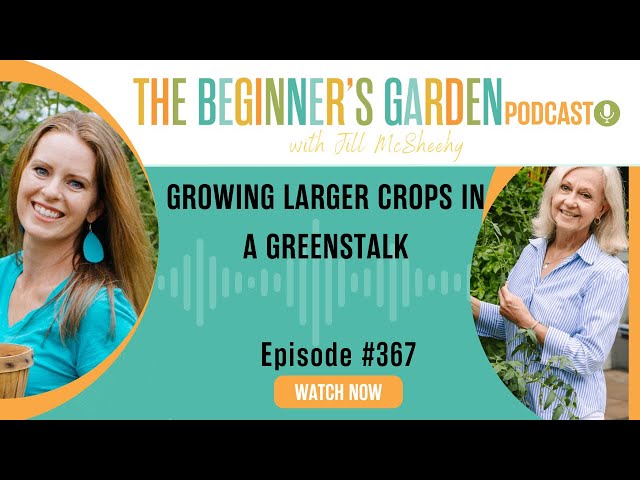 Growing Large Crops in a GreenStalk with Susie of GreenStalk Vertical Gardens