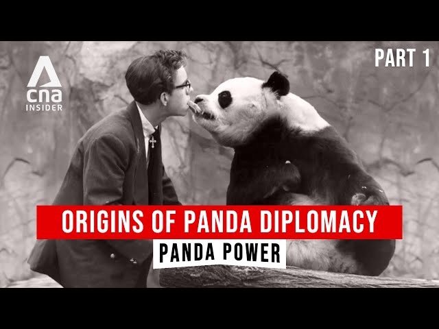 How Pandas Became China's 'Best Ambassadors' | Panda Power - Part 1/2 | CNA Documentary