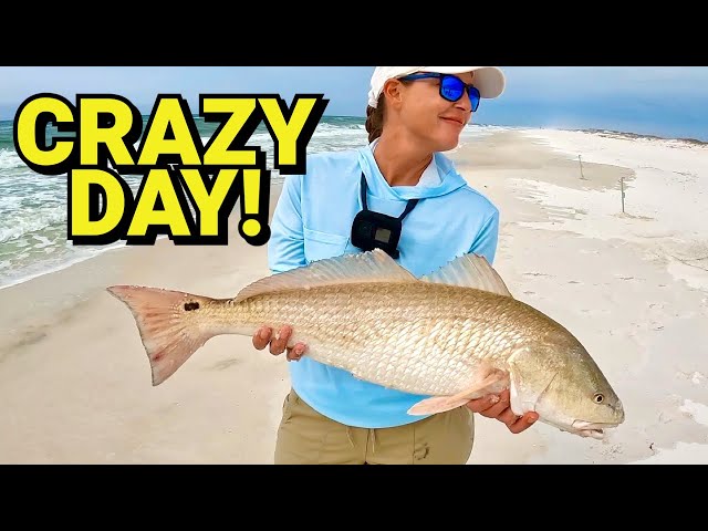 CRAZY DAY OF SURF FISHING IN FLORIDA PANHANDLE!