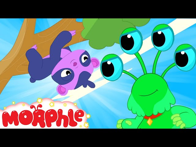 DOUBLER & SLOWTHY - Mila's Book of Magic Pets | Cartoons for Kids | Morphle TV