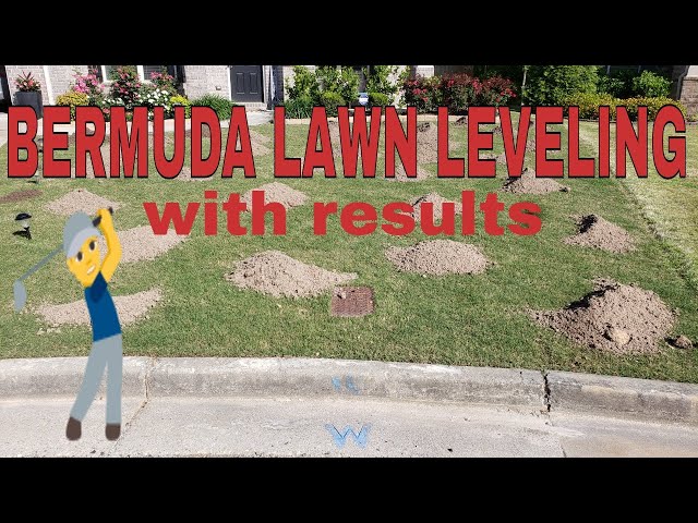 BERMUDA LAWN LEVELING / TOP DRESSING with results