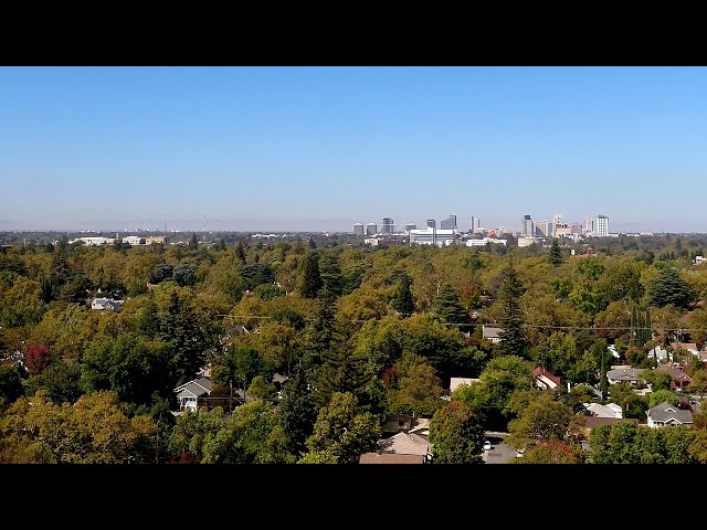 Why some neighborhoods in Sacramento have an abundance of trees, while others have few