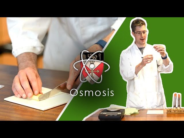 Osmosis - GCSE Science Required Practical