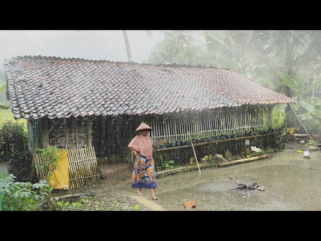 [4K] Heavy Rain in My Village | Enjoy the Cool and Refreshing Cold Rainy Season | Sleep soundly