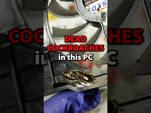 PC INFESTED with COCKROACHES 🪳😱 #pcgaming #gamingpc #pcmasterrace