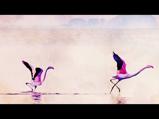 Premium Handmade Art Print "Two Flamingoes in Watercolors" by Dreamframer Art