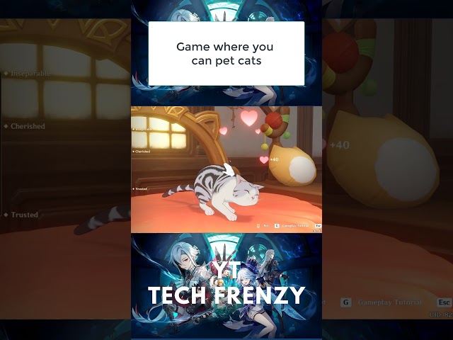 If only there was a game that lets you play with cats | #genshinimpact #cats #catlover #funnycats