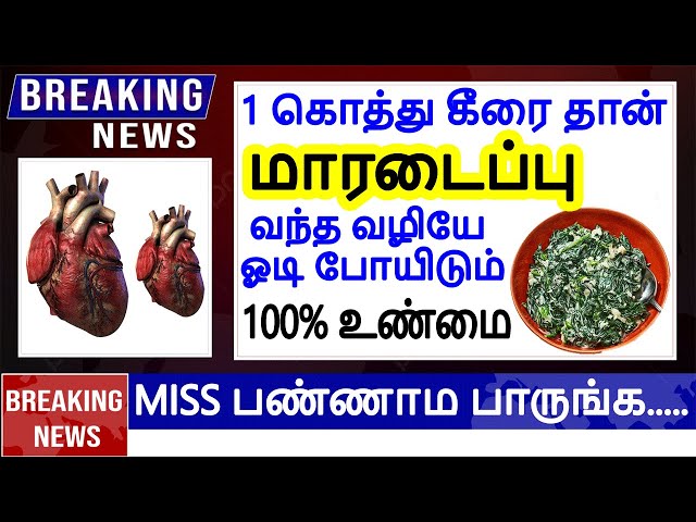 Breaking News மாரடைப்பு வந்தா இப்படி உடனே பண்ணி பாருங்க |  Iyarkai murai | heart problems | bp
