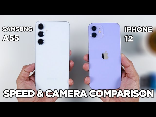 Samsung A55 vs iPhone 12 SPEED TEST & CAMERA Comparison | Zeibiz