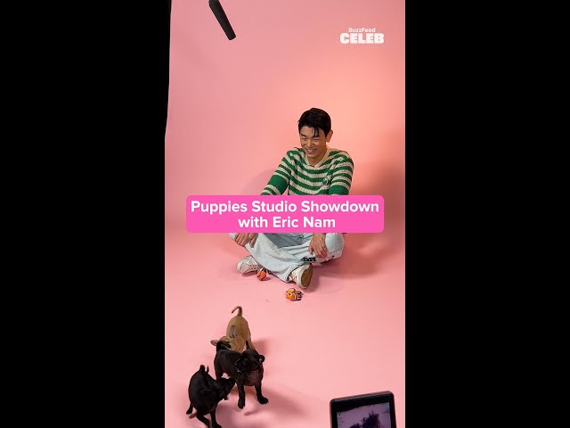 Our puppies are too wild for Eric Nam 😂 Puppy interview drops 10/31!