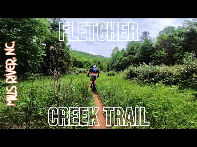 Fletcher Creek Trail, Mills River in North Carolina
