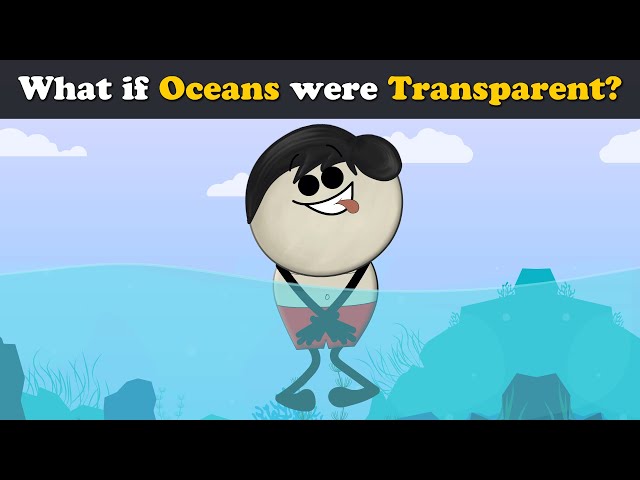 A Transparent Ocean: What If? + more videos | #aumsum #kids #science #education #children