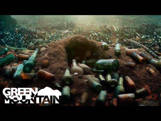 We Found HUNDREDS of Bottles Buried in the Forest