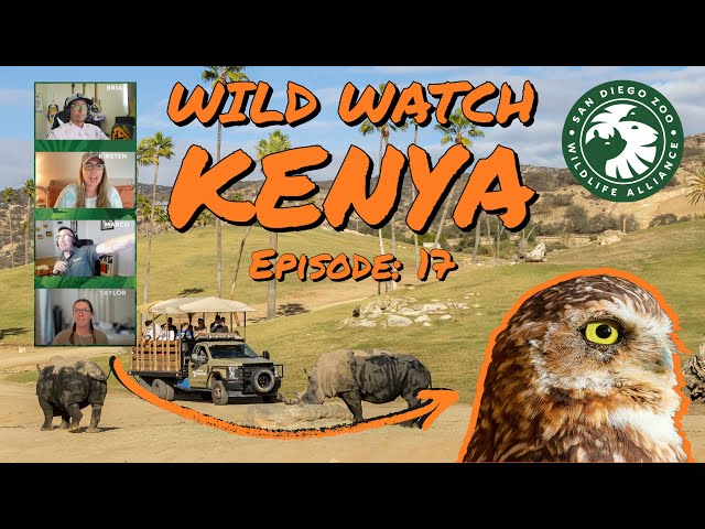 Wildwatch with Us: Ep. 17