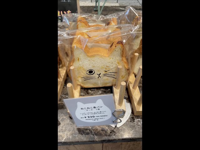 You can buy CAT BREAD in Japan!! 🤯🍞🥐