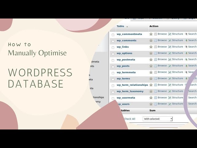 How to Optimise WordPress Database to make your website secure and faster