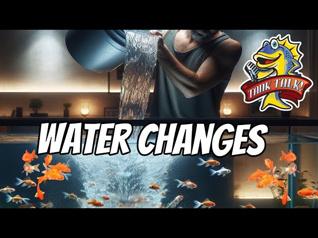 Water Changes, Do You Need To Do Them? The Debate Ends Here!