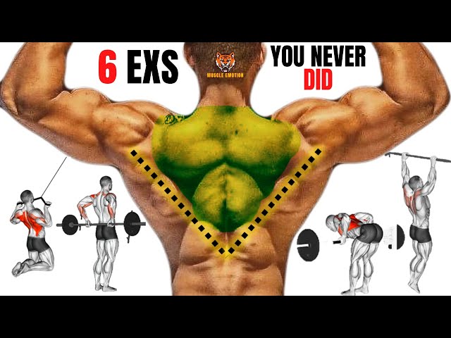 6 BEST TRAPS WORKOUT AT GYM THAT YOU NEVER DID