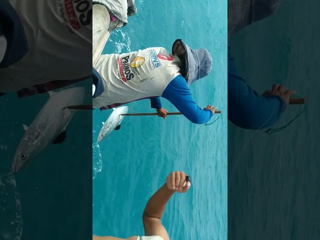 em ritmo de carnaval o cego pescador mostra sua habilidade em alto mar com peixe
