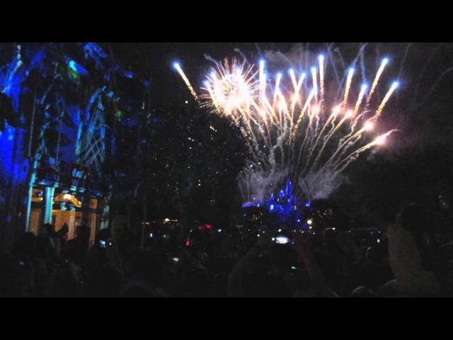 Disneyland Forever Firework - Frozen