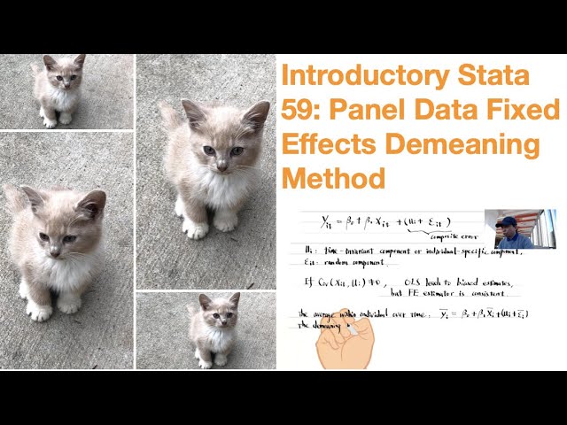 Introductory Stata 59: Panel Data Fixed Effects Demeaning Method