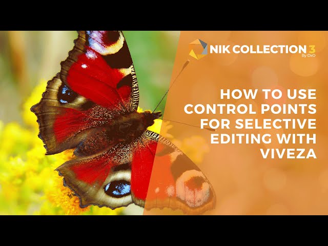How To Use Control Points For Selective Editing with Viveza / Nik Collection 3