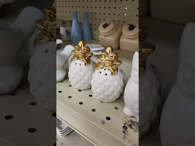 Goodwill Thrift With Me for Salt and Pepper Shakers