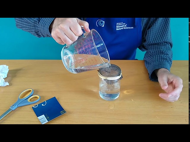 Science at Home: Gravity-defying Water Experiment