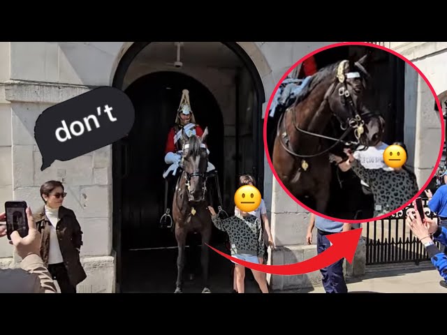 UNSUPERVISED KIDS GRAB THE KINGS HORSE REINS A COUPLE OF TIMES AT HORSE GUARD!