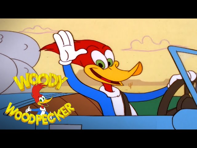 Woody Loses His Car | Woody Woodpecker