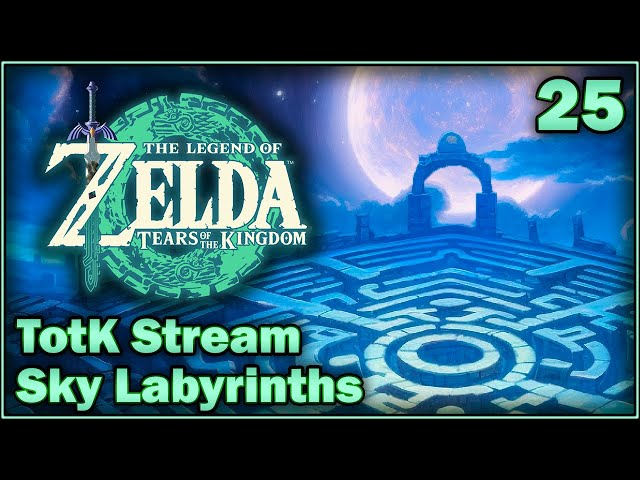 Sky Labyrinth - Pixel Plays Tears of the Kingdom 25