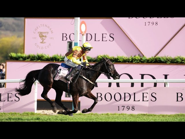 GALOPIN DES CHAMPS gallops to successive Gold Cups