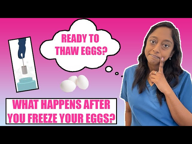 WHAT HAPPENS WHEN READY I'M READY TO THAW THE EGGS?