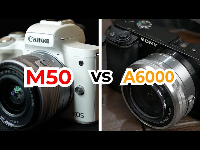 Canon M50 vs Sony A6000 = Bagus mana untuk foto & videografi?