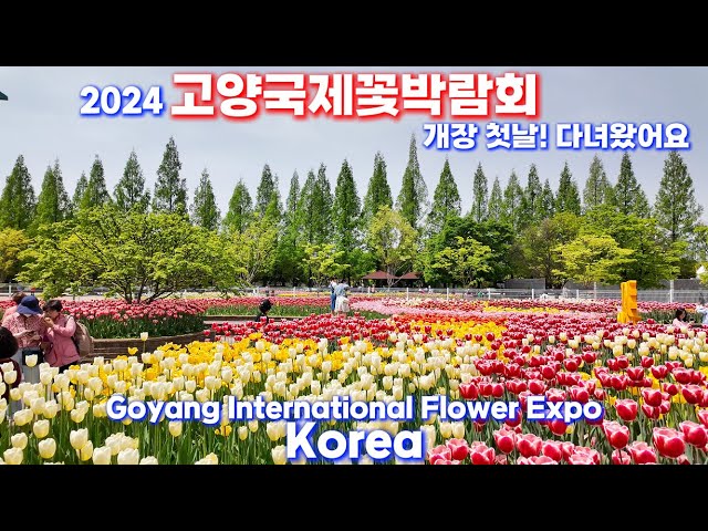 4K Korea Trip / The first day of the fantastic 2024 Goyang International Flower Expo