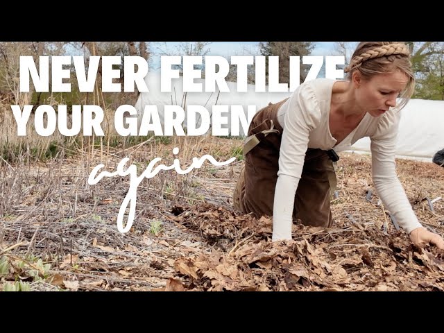 PLANTS instead of LANDSCAPE FABRIC: a deep mulch system to feed garden soil!