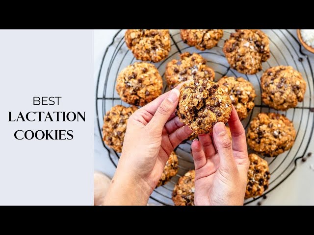 BEST Lactation Cookies Recipe for Moms - Healthy and Vegan!